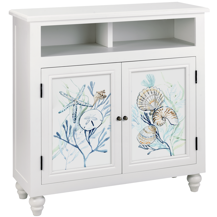 Coney Island Media Cabinet