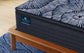 Perfect Sleeper X Lexton Mattress - Medium Pillowtop
