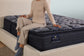 Perfect Sleeper X Lexton Mattress - Medium Pillowtop