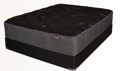 Sleep Solutions Roosevelt Plush