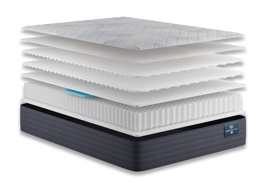 Chandler Park Firm Mattress