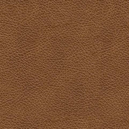 Carianna Queen Sofa Sleeper